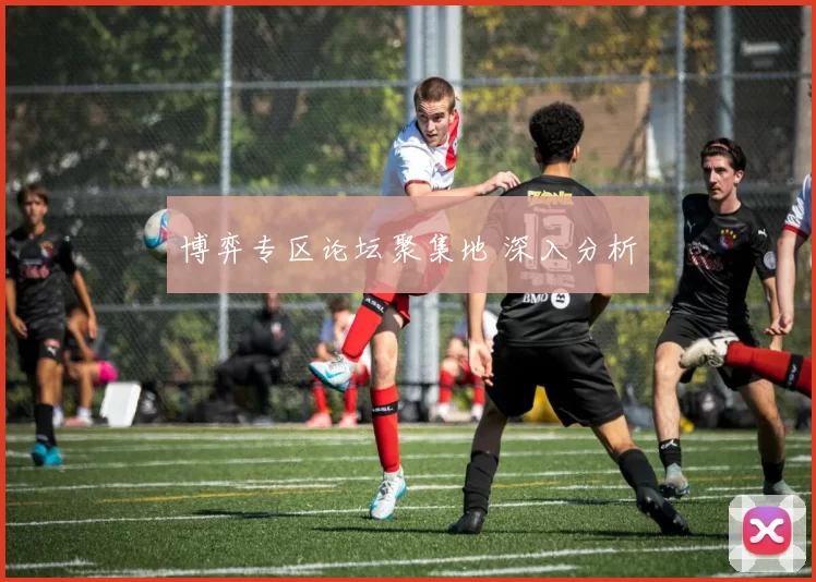 博弈专区论坛聚集地 深入分析