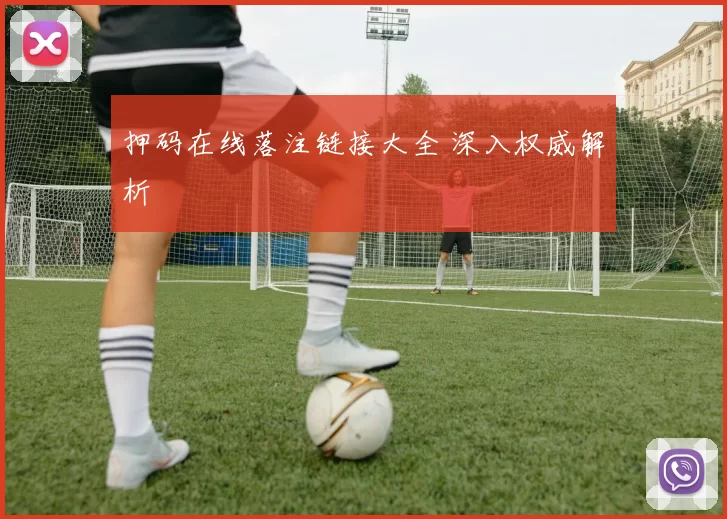 押码在线落注链接大全 深入权威解析