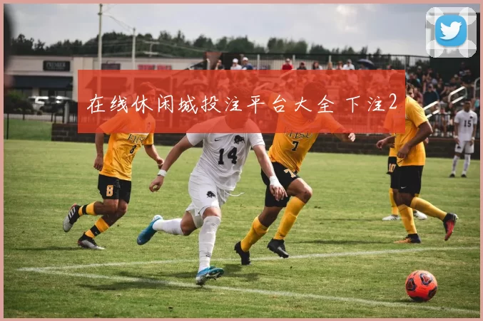 在线休闲城投注平台大全 下注2