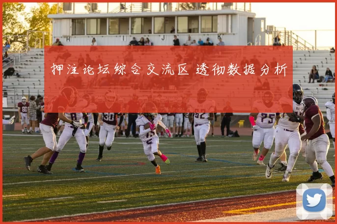 押注论坛综合交流区 透彻数据分析